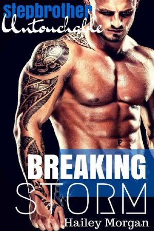 [Stepbrother Untouchable 01] • Breaking Storm